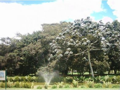 Jardín Botánico de Bogotá Jardín Botánico de Bogotá